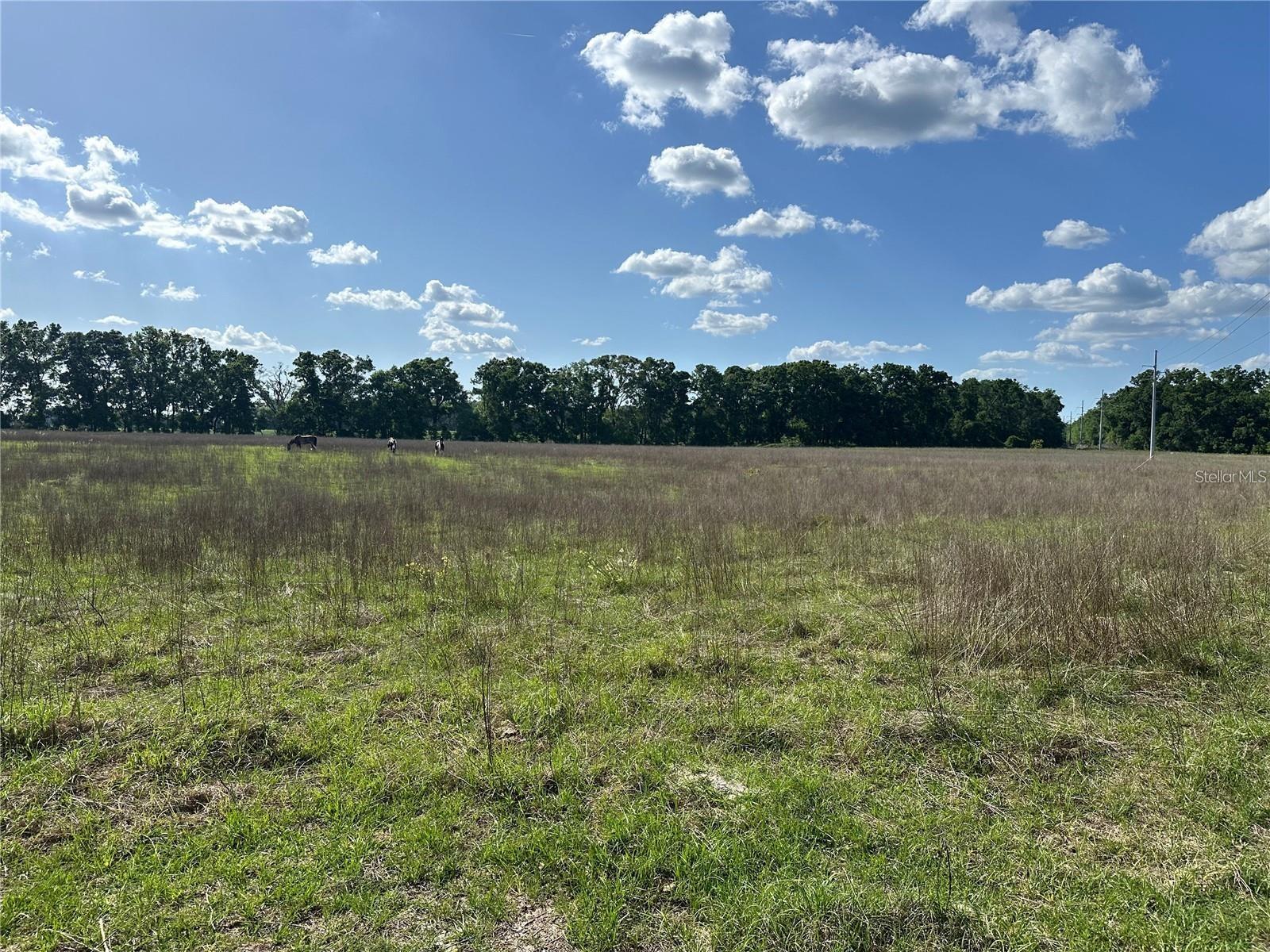Image 8 of 13 For 870 Fry Avenue
