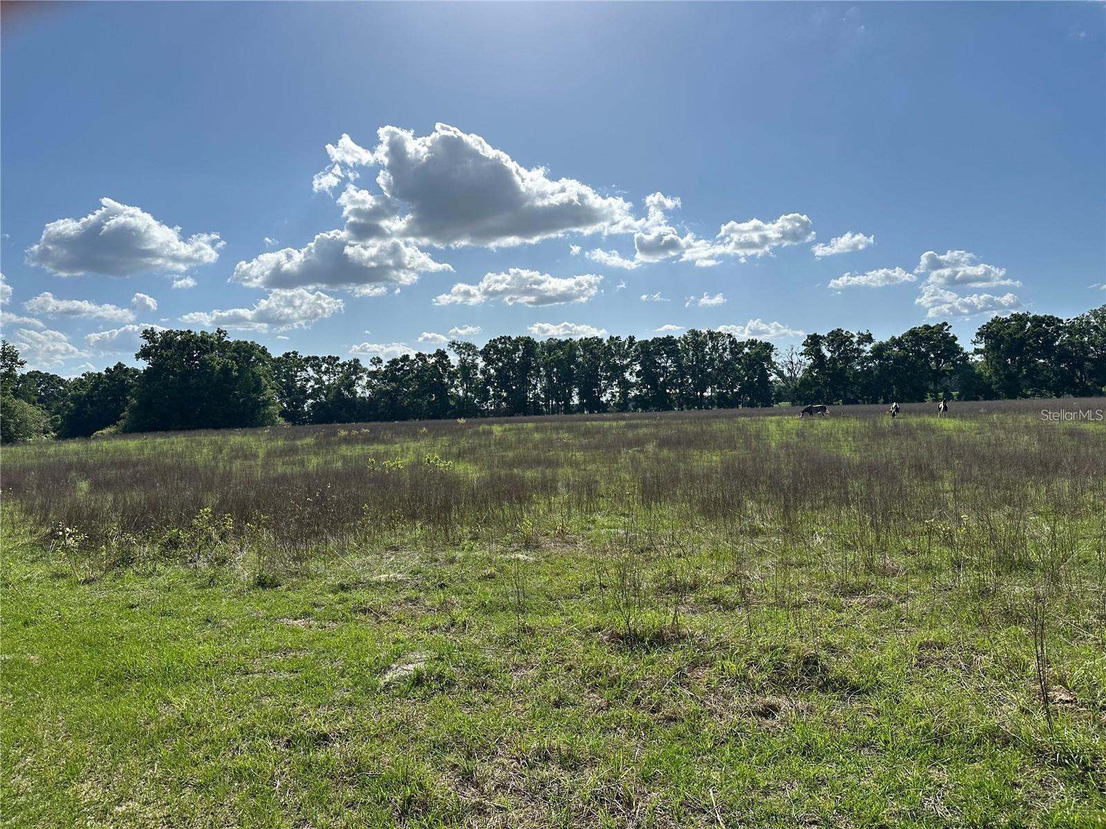 Image 9 of 13 For 870 Fry Avenue
