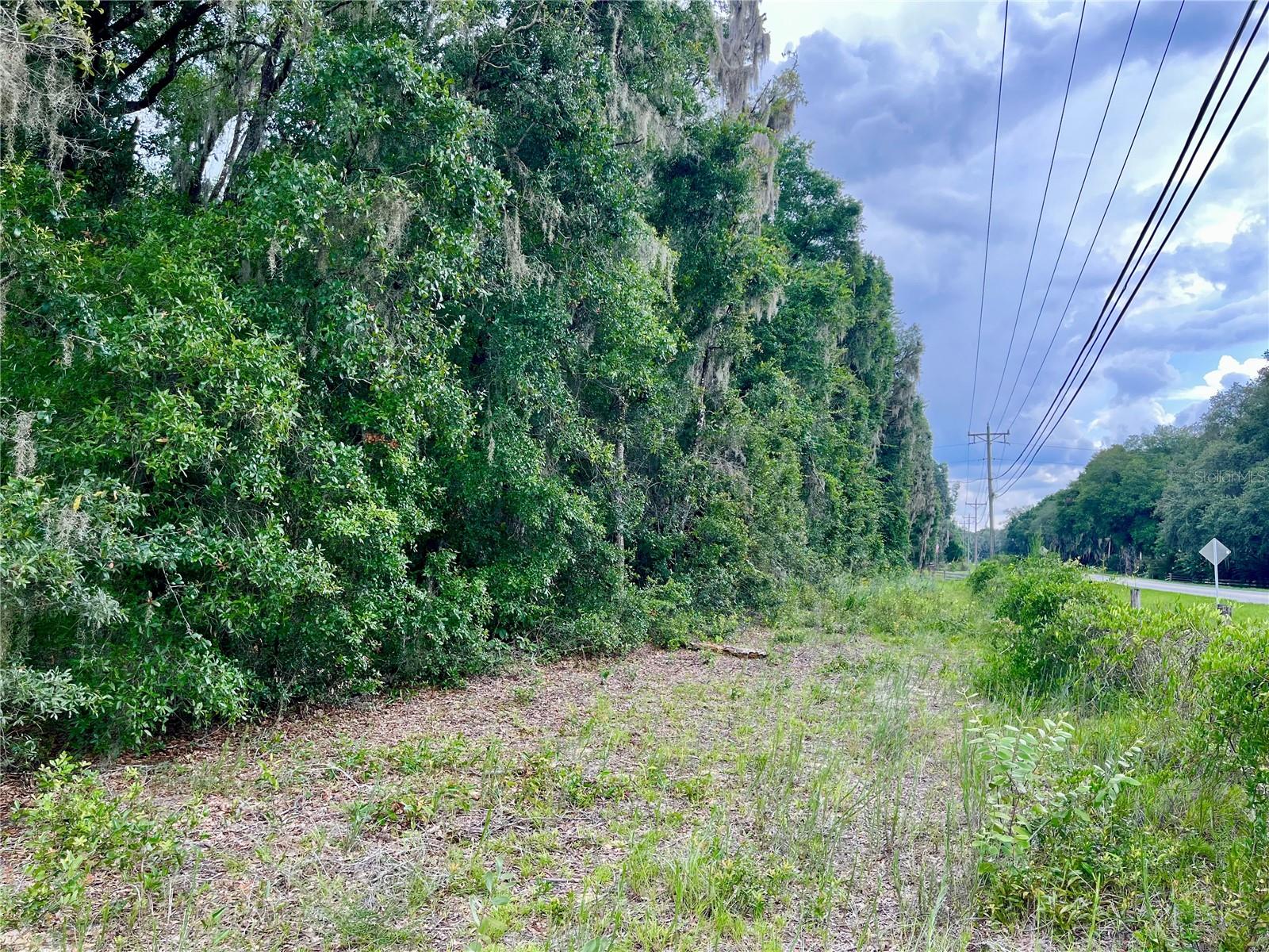 Image 4 of 6 For 0 County Road 214