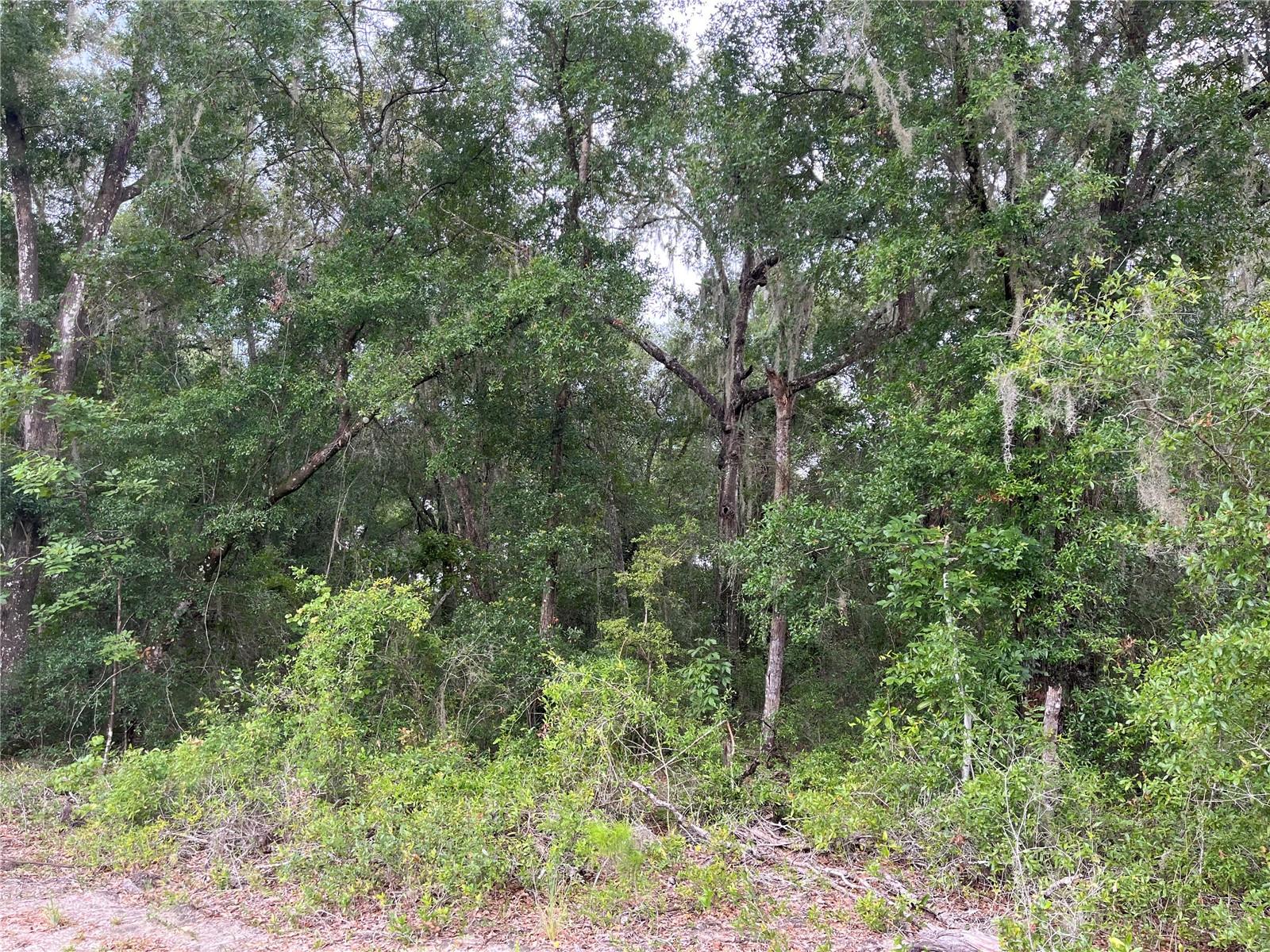 Image 6 of 6 For 0 County Road 214