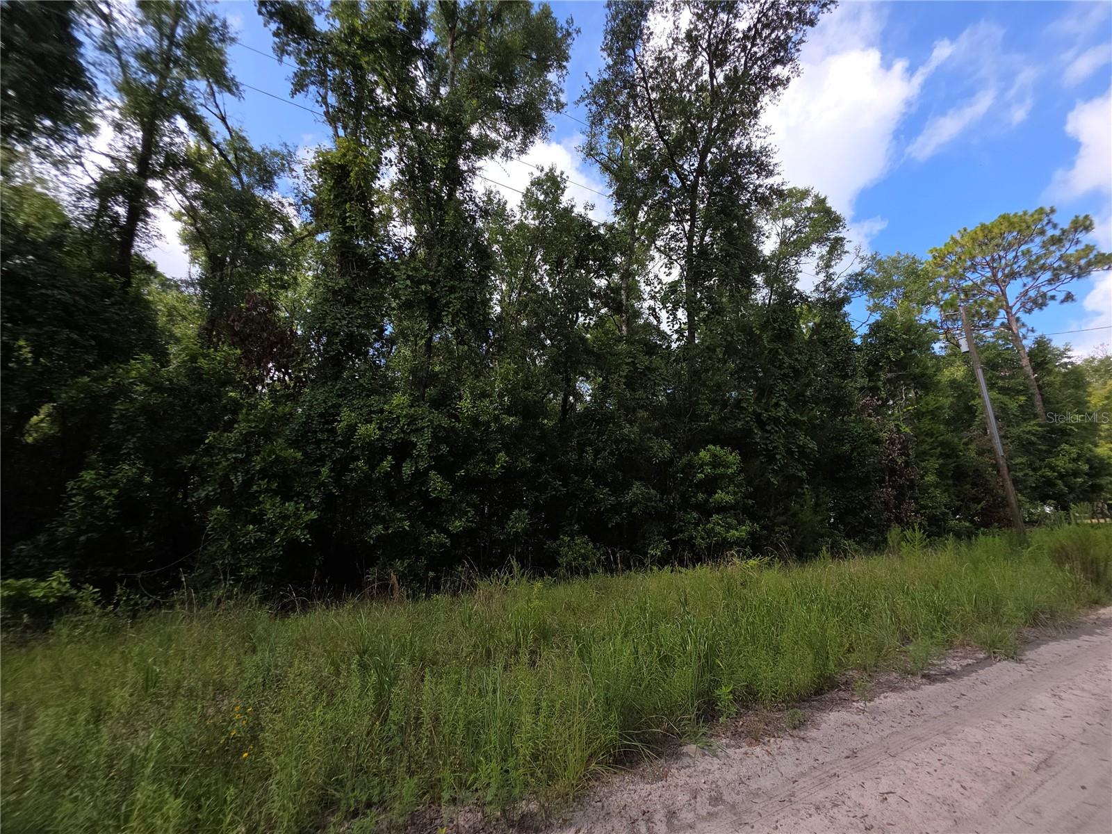 Image 2 of 3 For  280 Terrace 