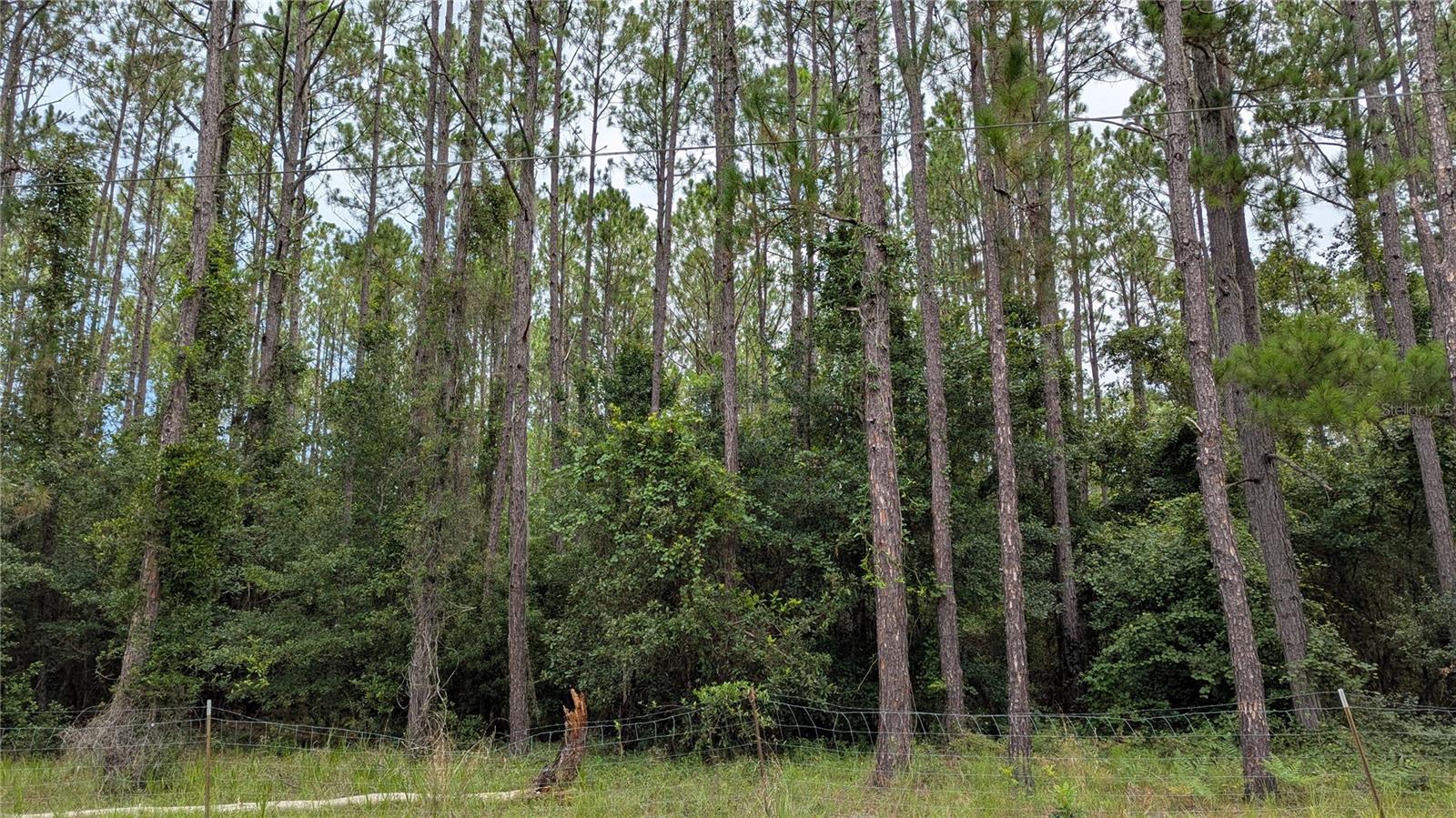 Details for Tbd 3rd Place, GAINESVILLE, FL 32641