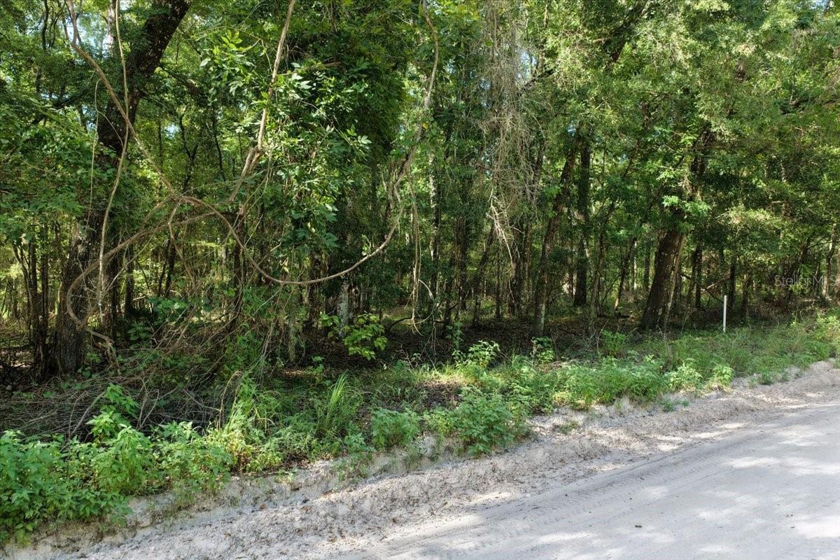 Image 14 of 19 For 0000 73rd Way Lot 16
