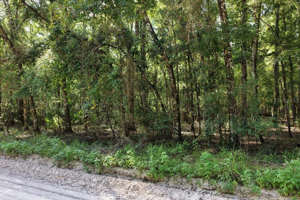 Image 5 of 19 For 0000 73rd Way Lot 16