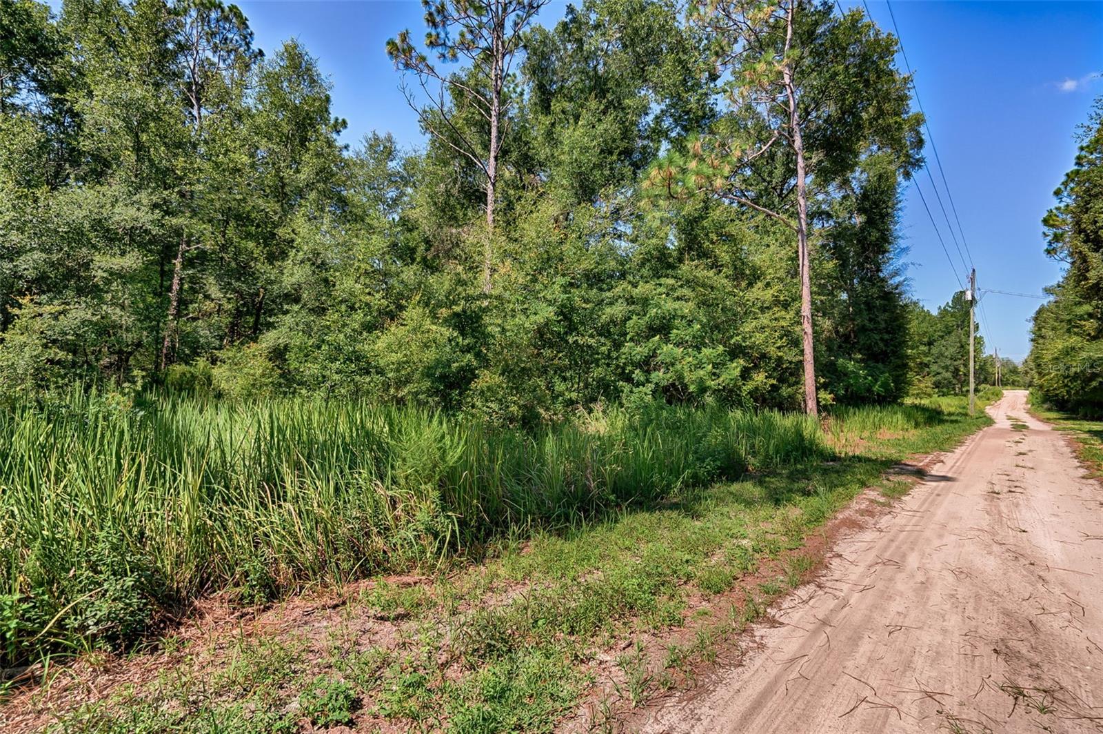 Image 8 of 8 For 000 83rd Lane