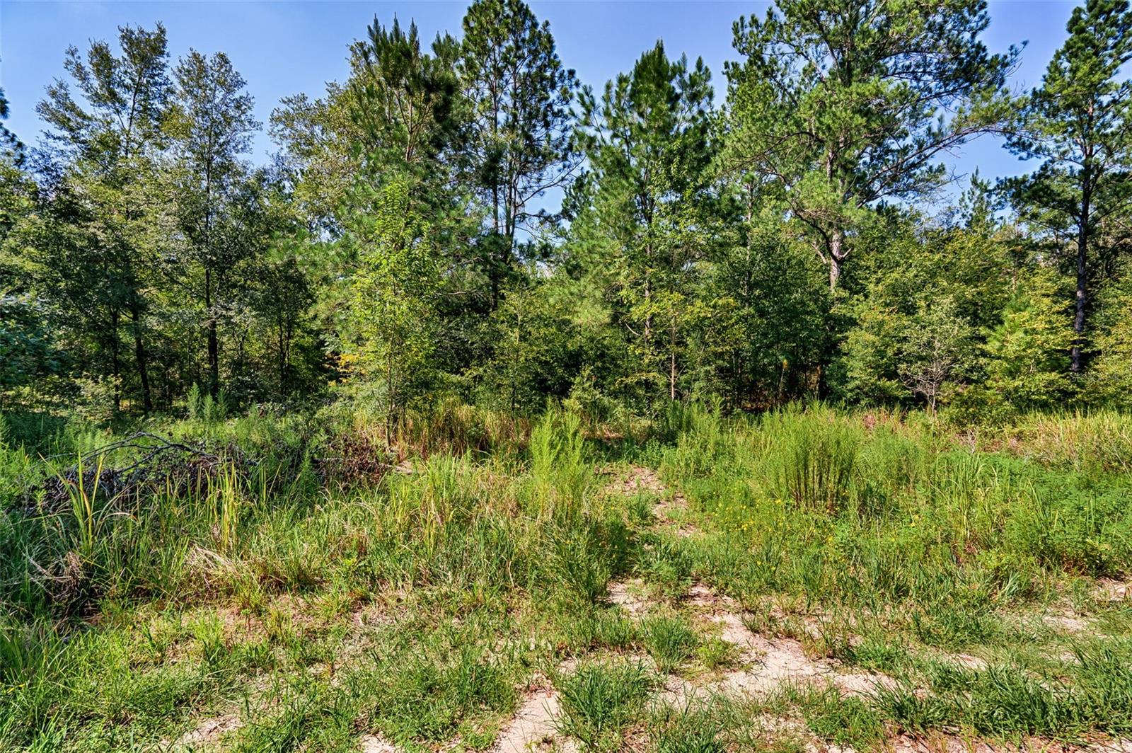 Image 8 of 9 For Tbd 83rd Lane