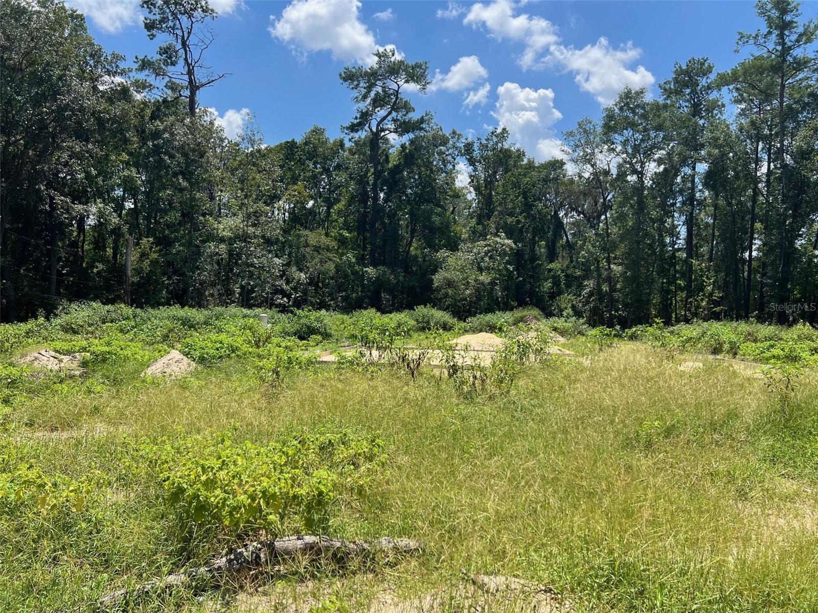 Image 2 of 8 For 3892 44th Avenue