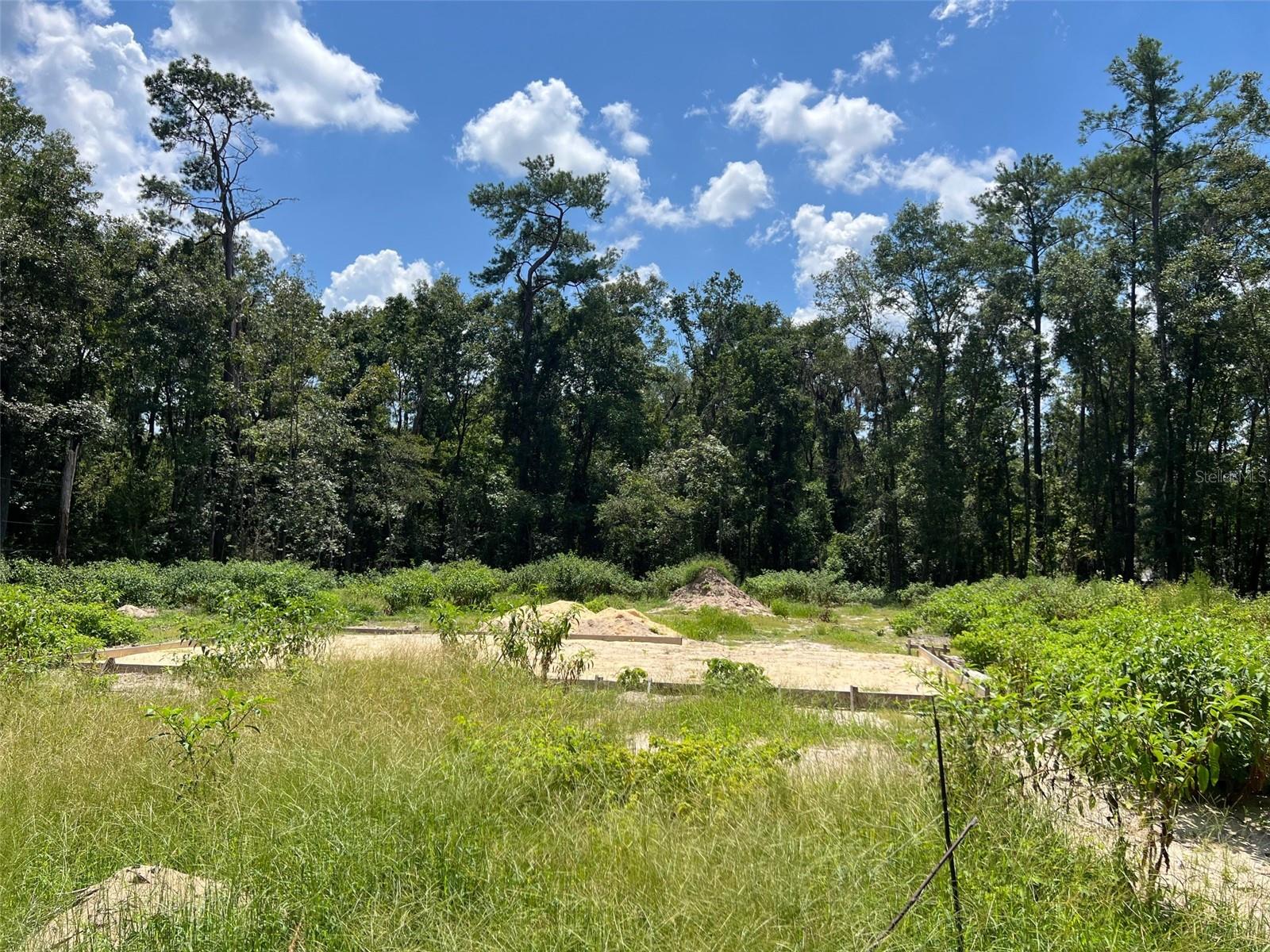 Image 3 of 8 For 3892 44th Avenue