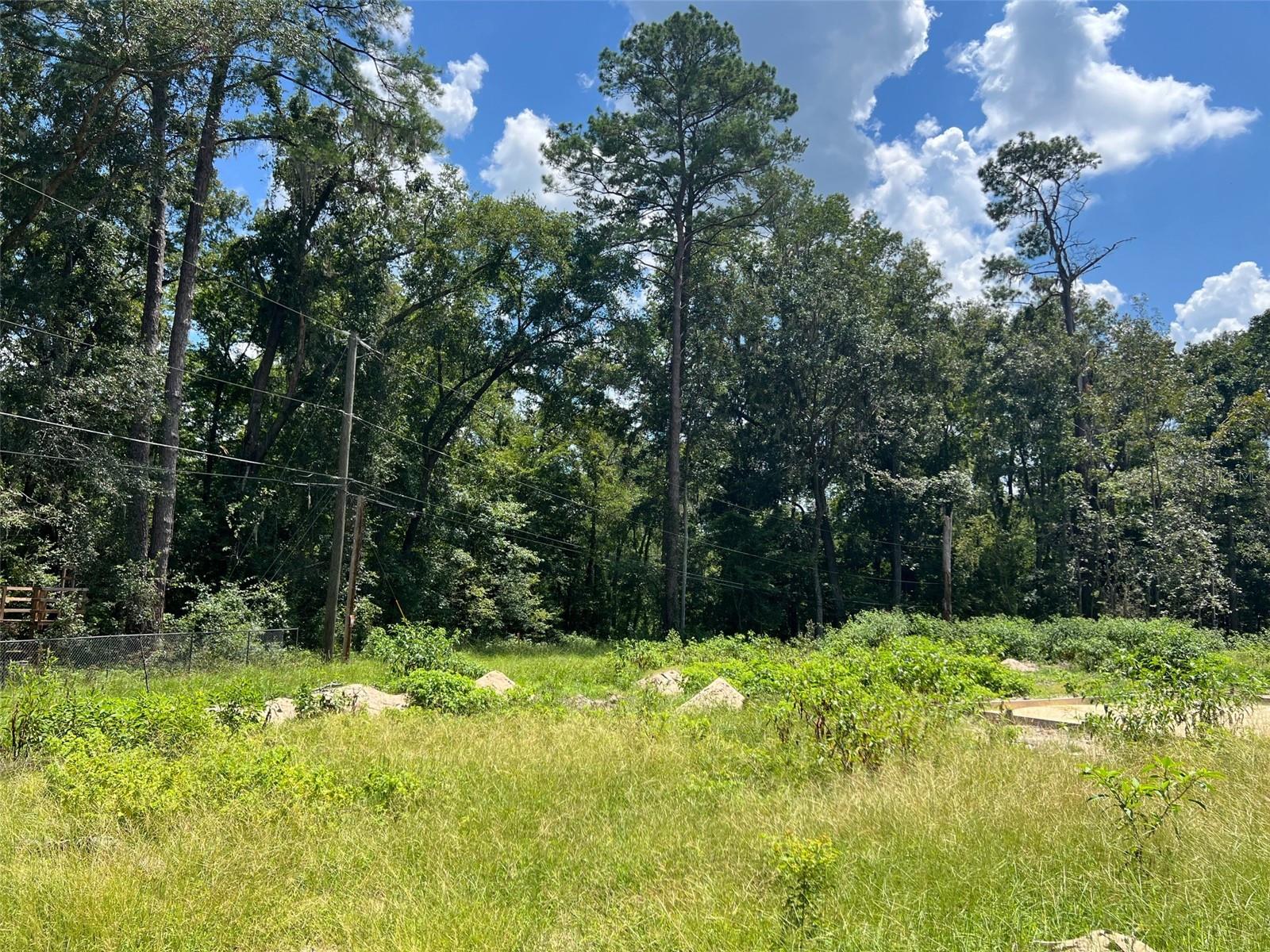 Image 4 of 8 For 3892 44th Avenue