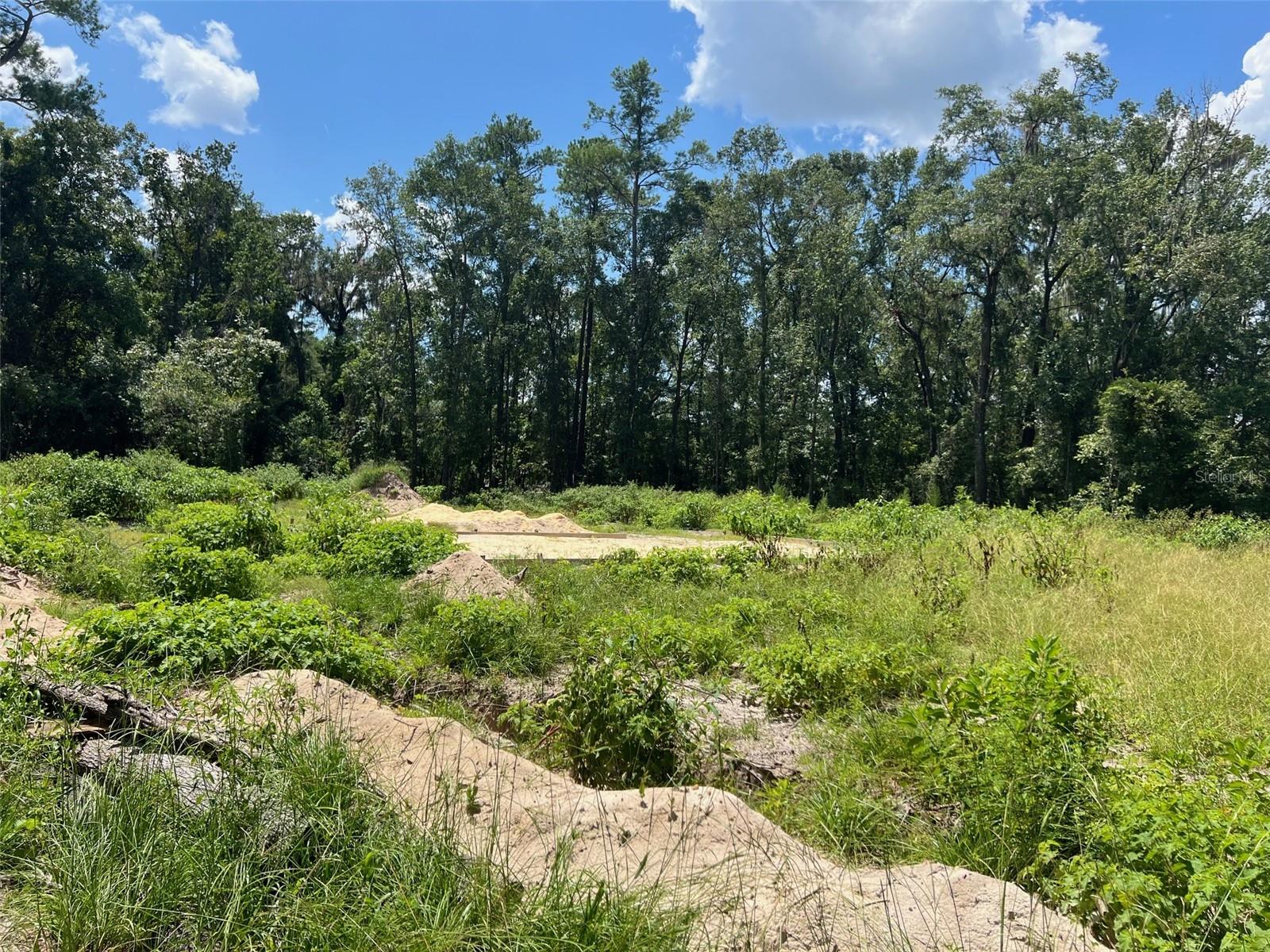 Image 5 of 8 For 3892 44th Avenue