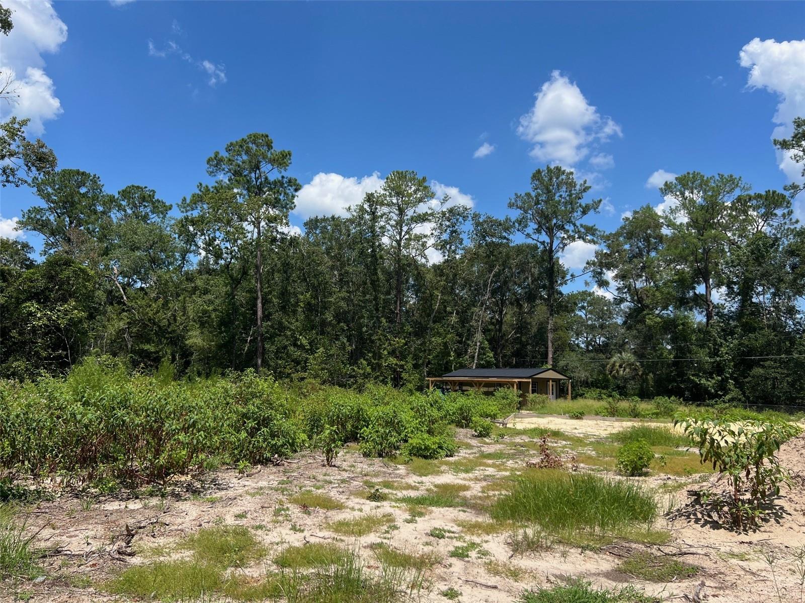 Image 6 of 8 For 3892 44th Avenue