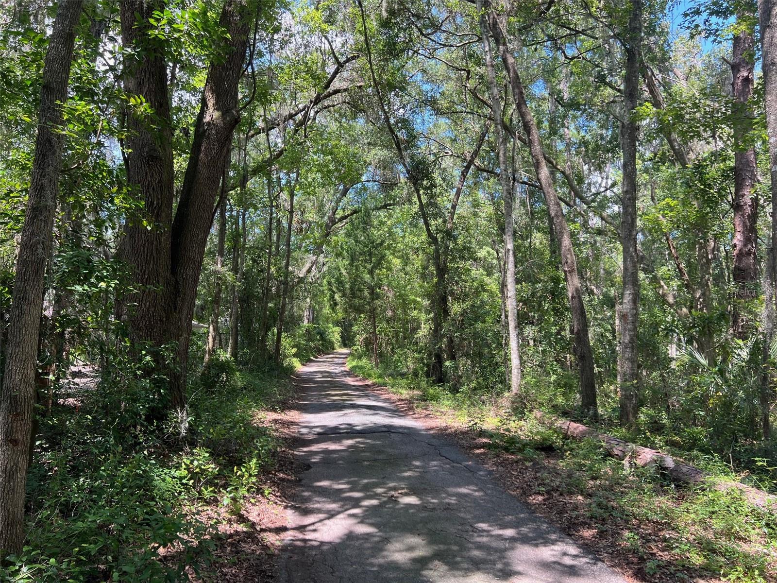 Image 7 of 8 For 3892 44th Avenue