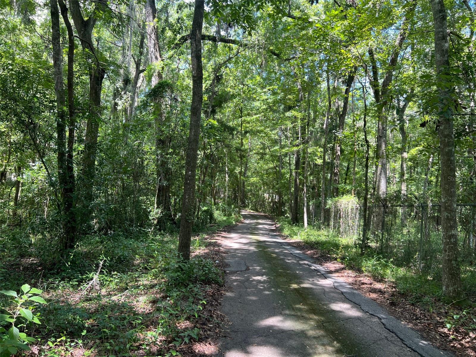 Image 8 of 8 For 3892 44th Avenue