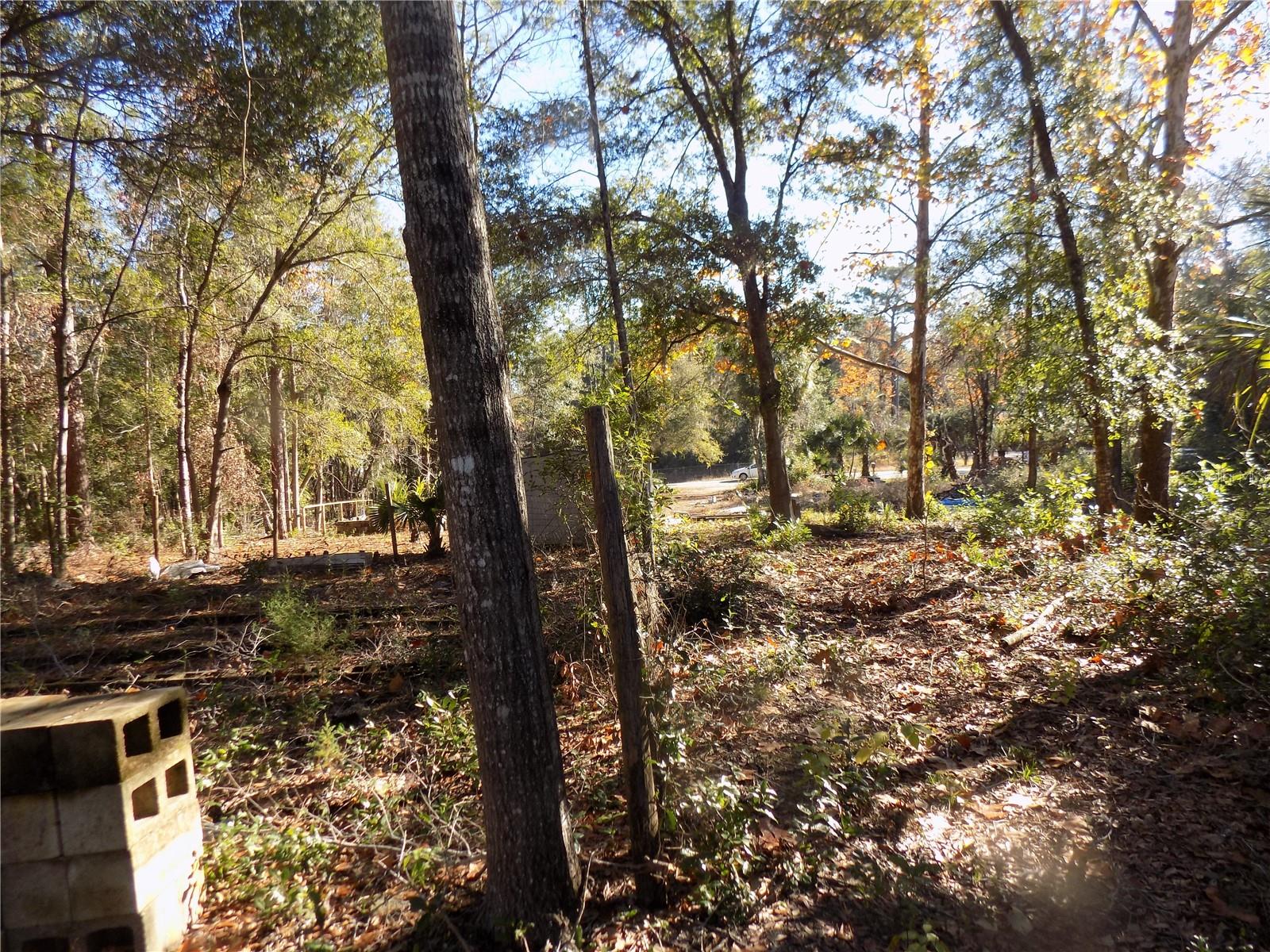 Image 8 of 14 For 11090 107 Terrace