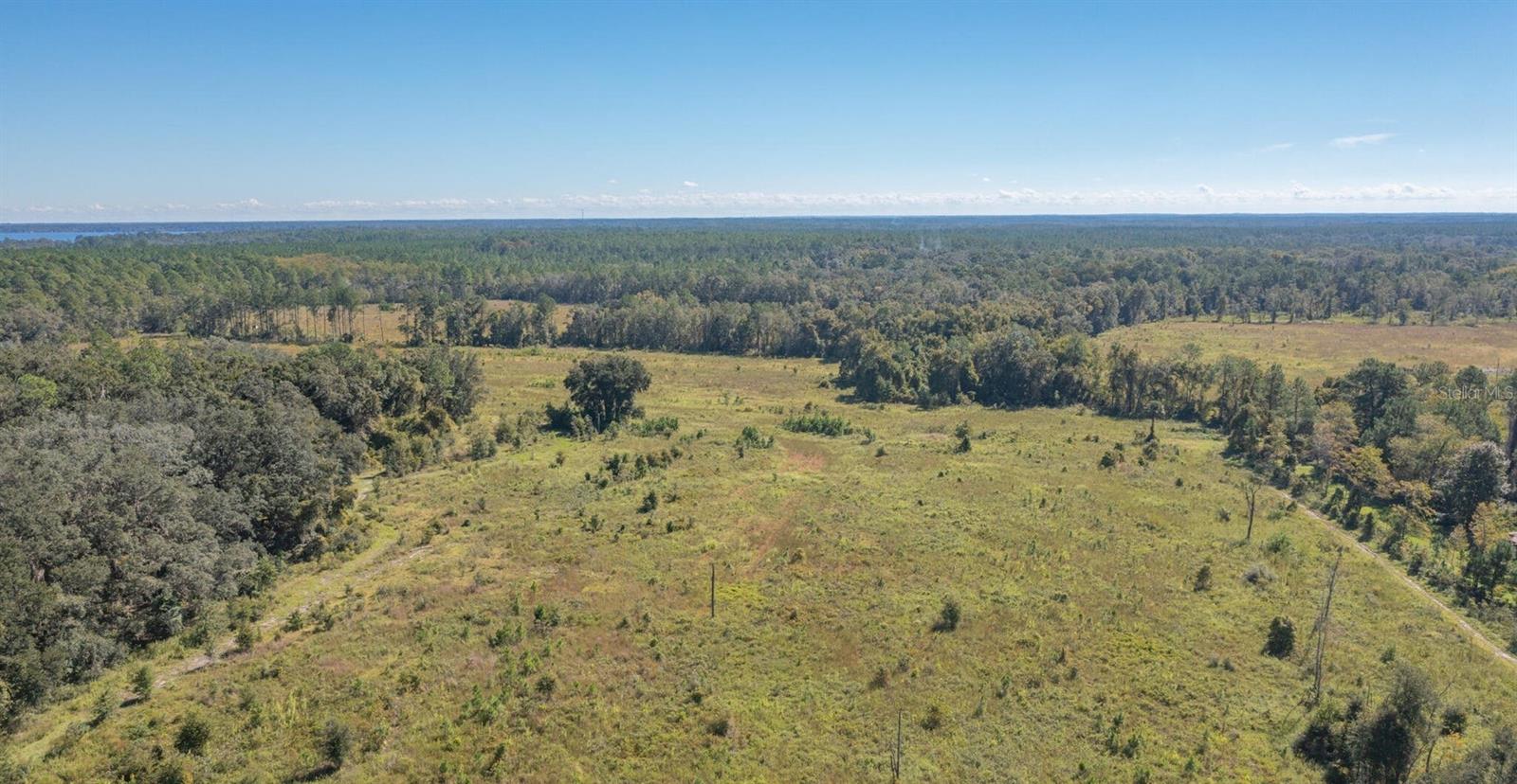 Details for 00 Cr 1469  , HAWTHORNE, FL 32640