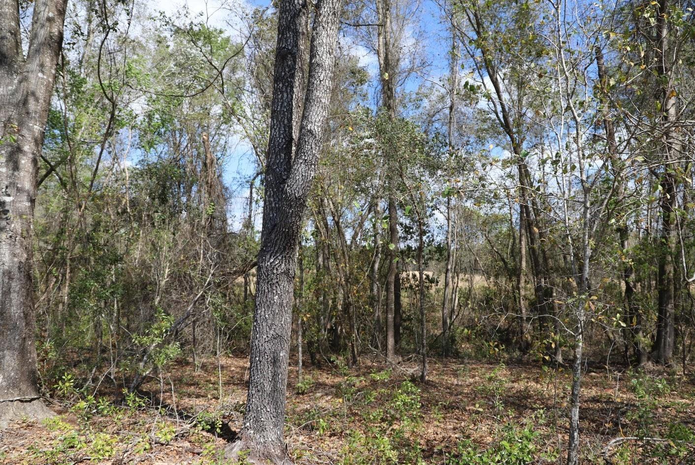 Image 15 of 22 For 00 Cr-1469  