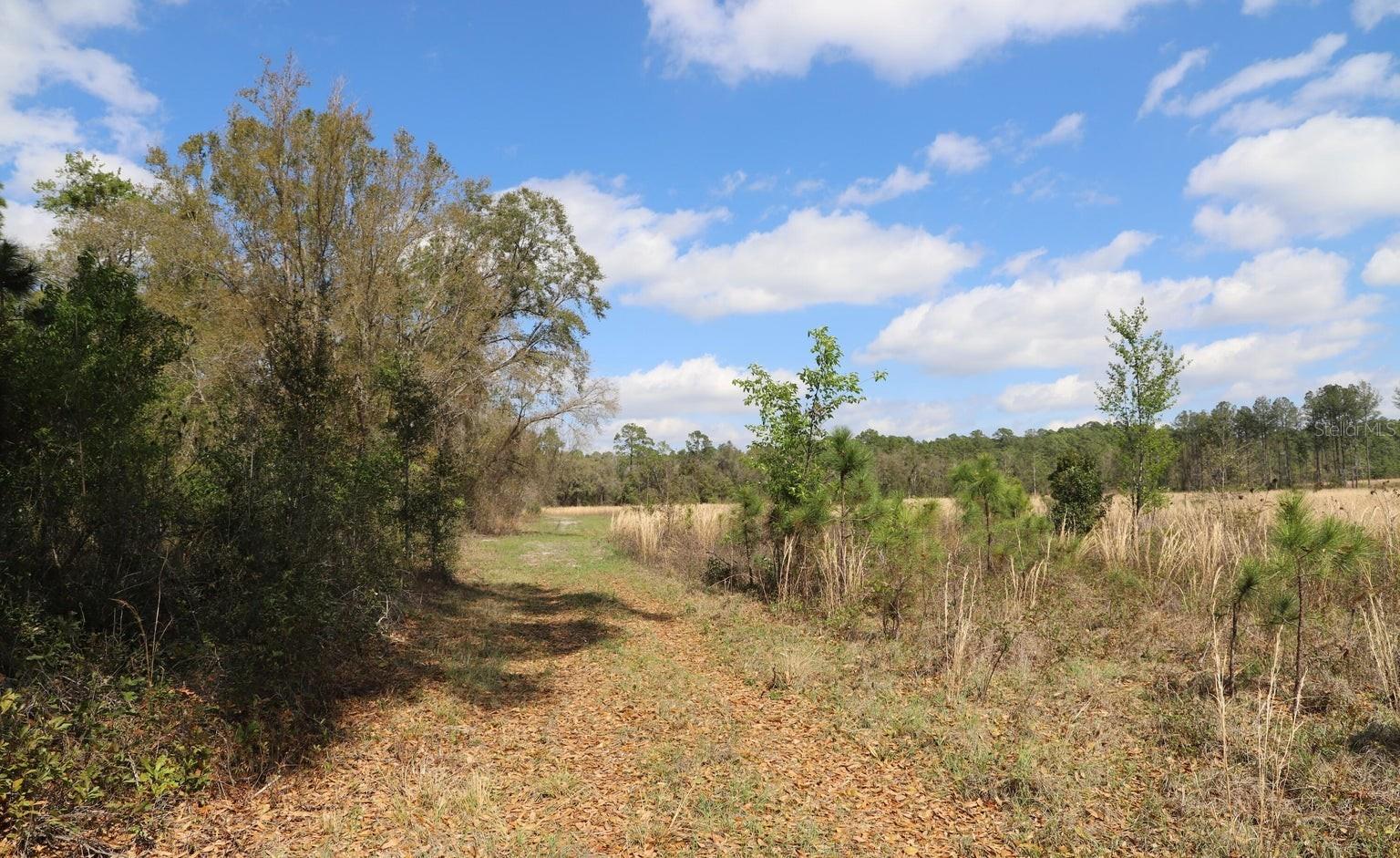 Image 18 of 22 For 00 Cr-1469  