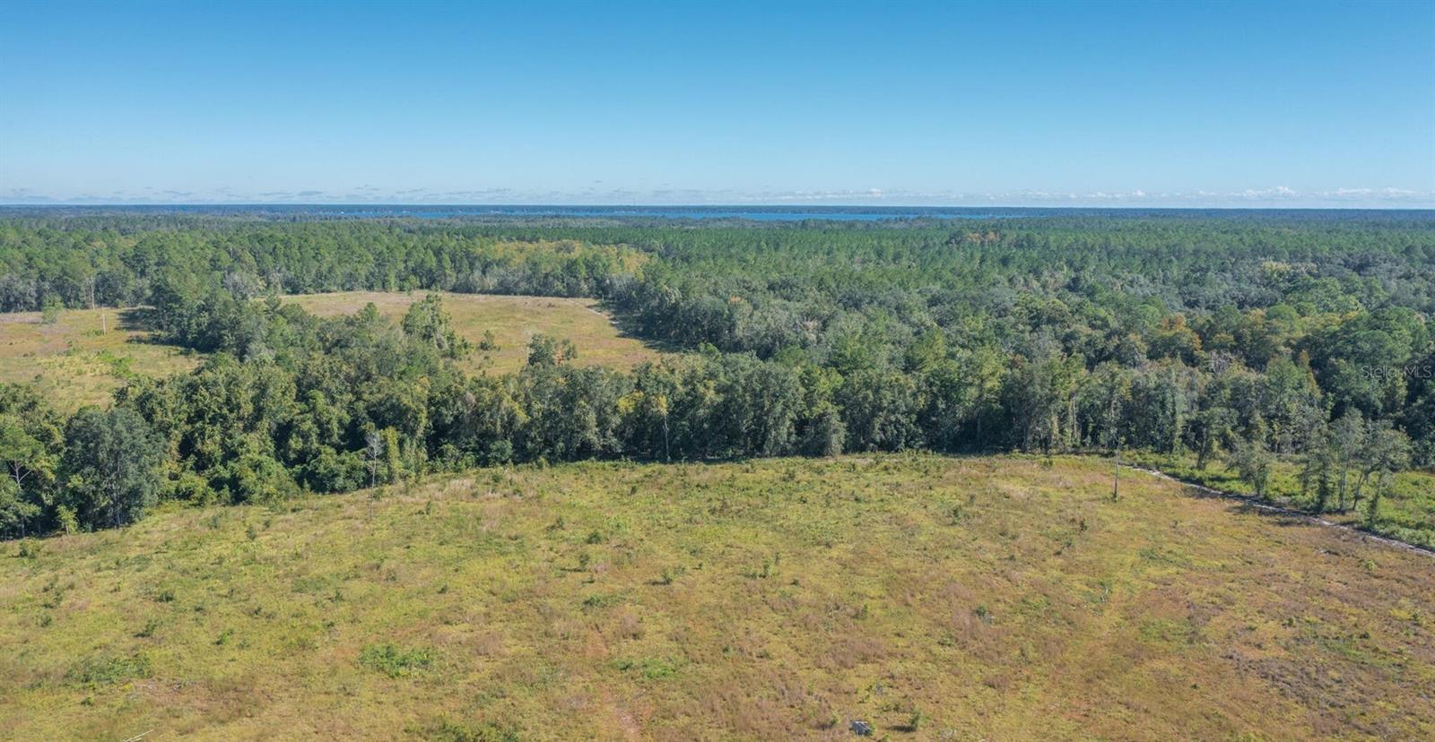 Image 4 of 22 For 00 Cr-1469  