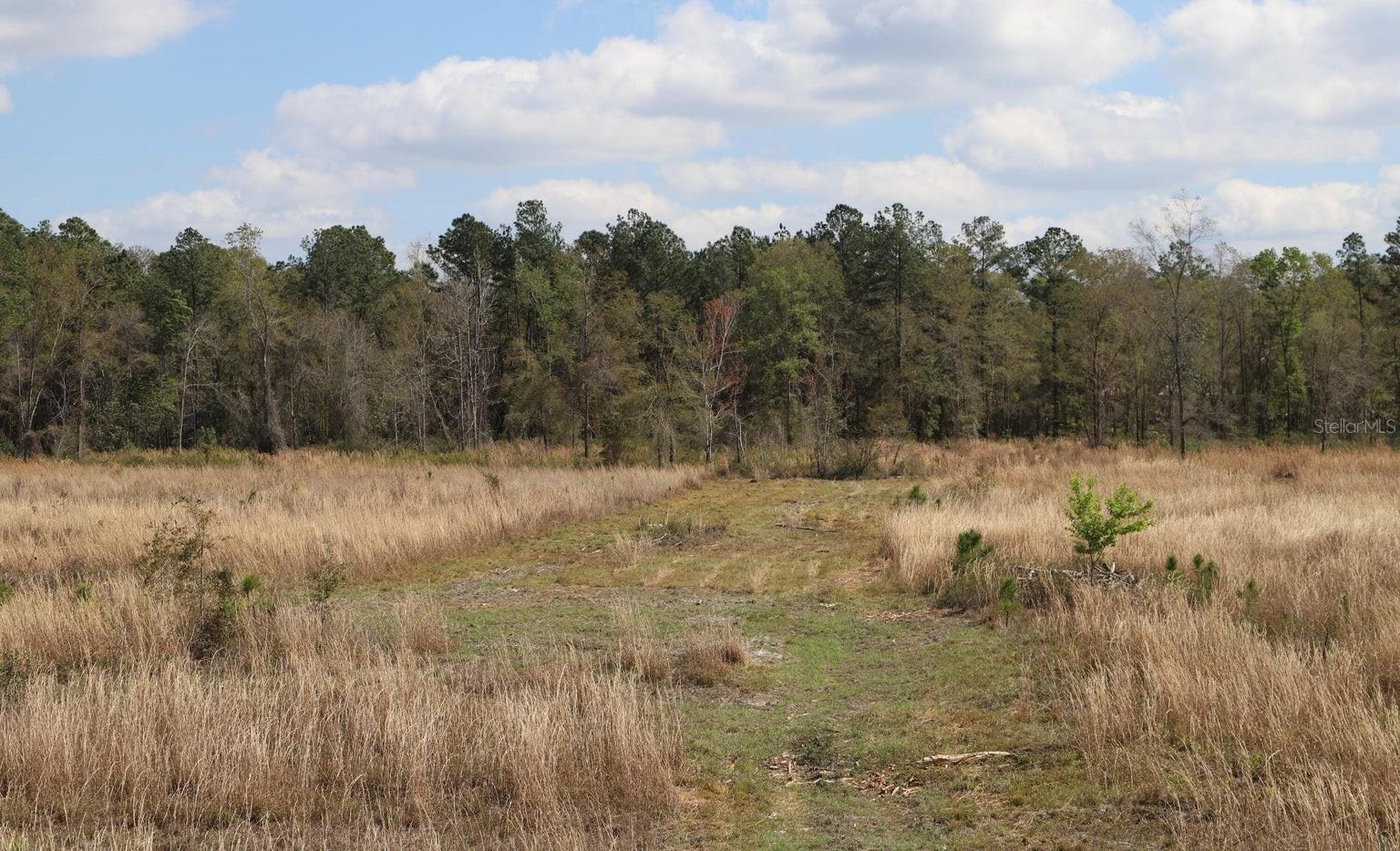 Image 9 of 22 For 00 Cr-1469  