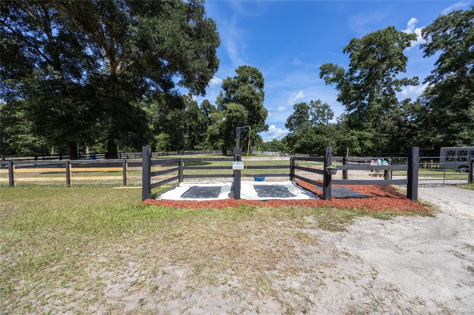 Image 17 of 57 For 9106 124 Street