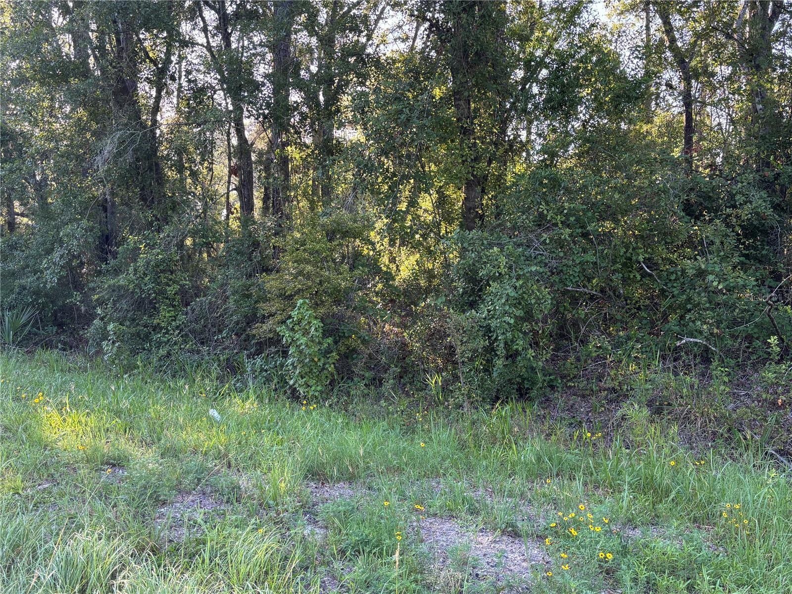 Image 4 of 10 For  Highway 351  