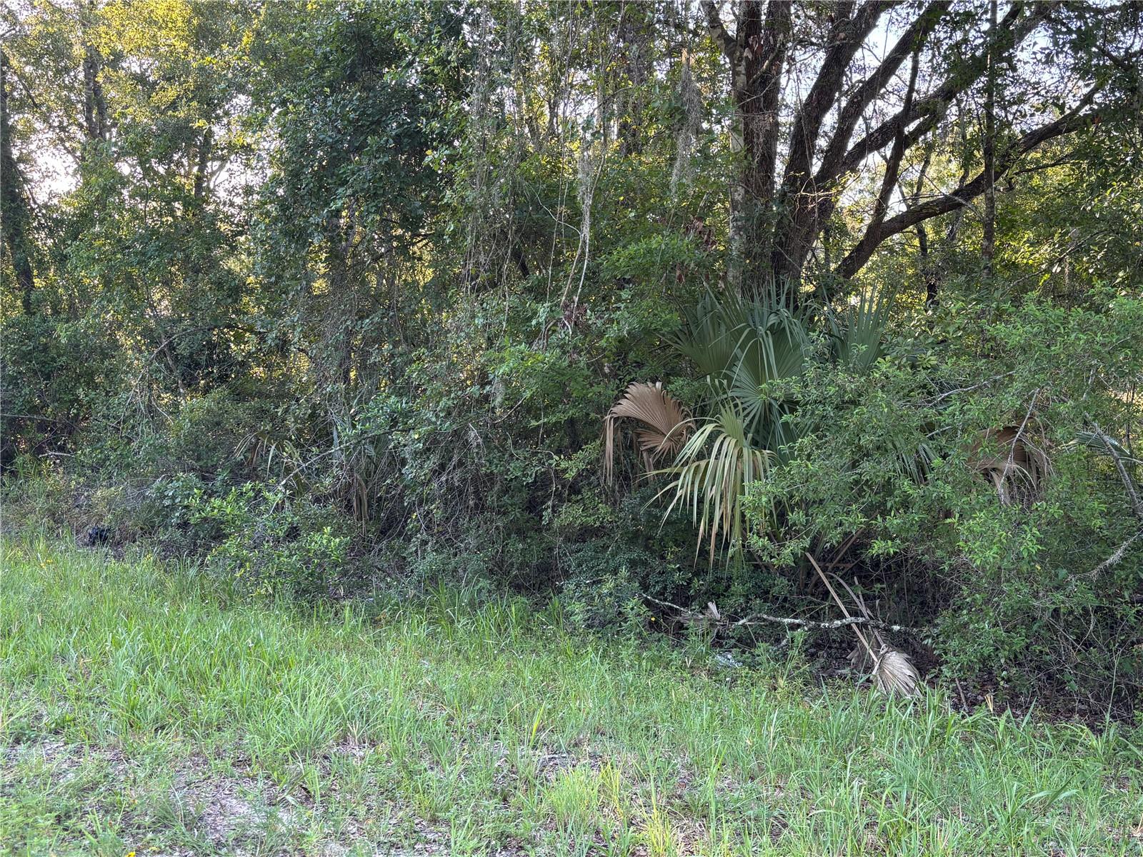 Image 5 of 10 For  Highway 351  
