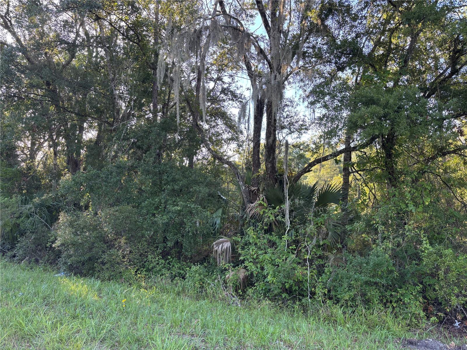 Image 6 of 10 For  Highway 351  