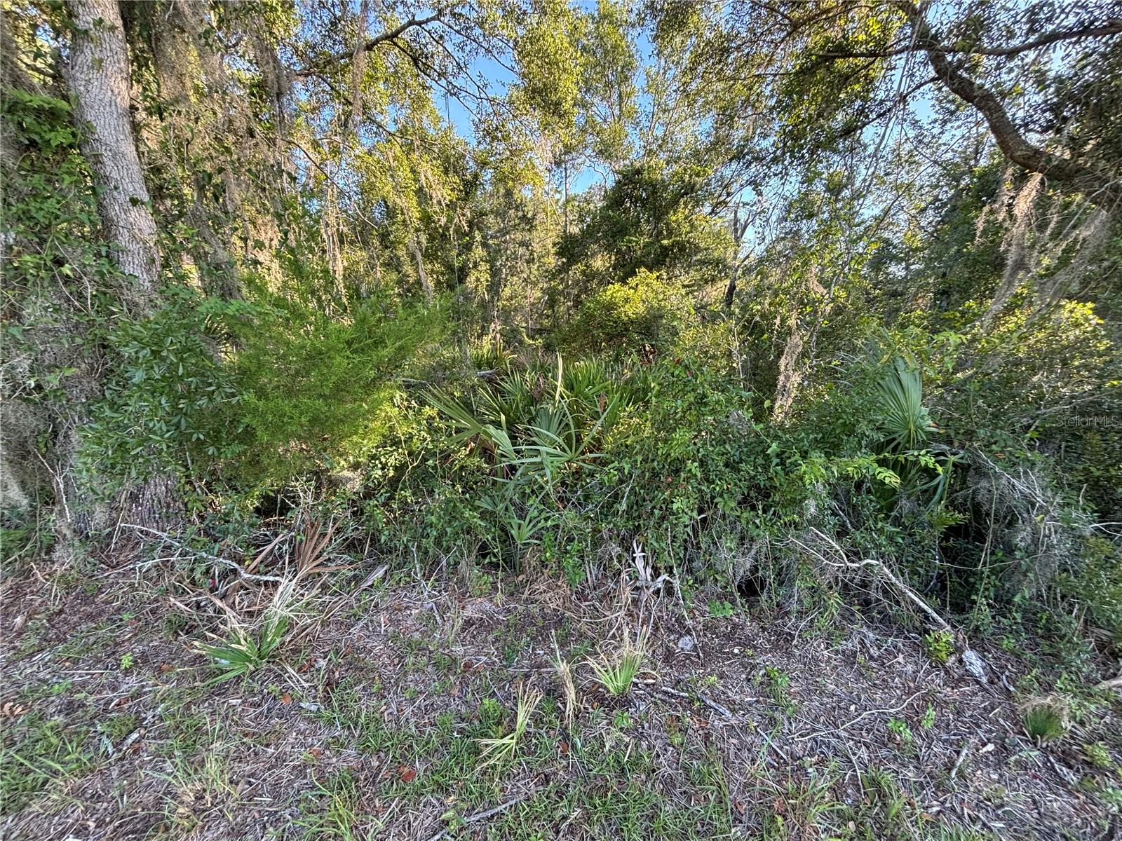 Image 7 of 10 For  Highway 351  