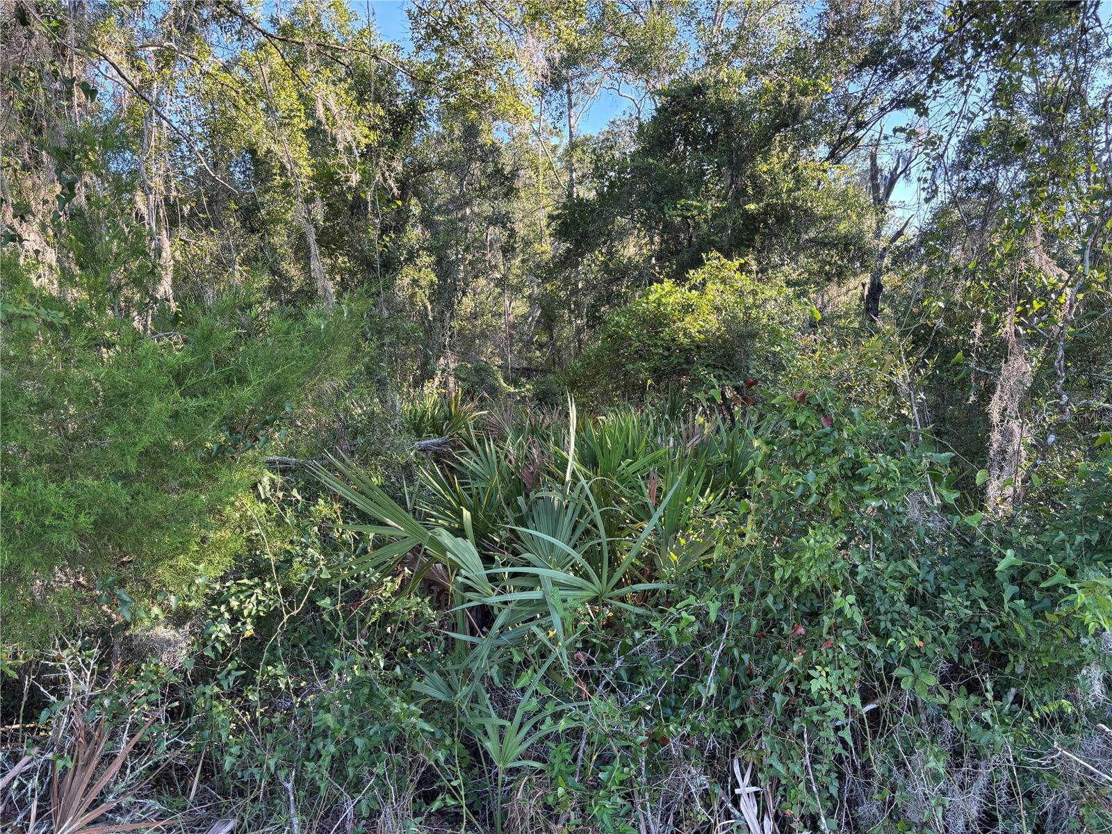 Image 8 of 10 For  Highway 351  