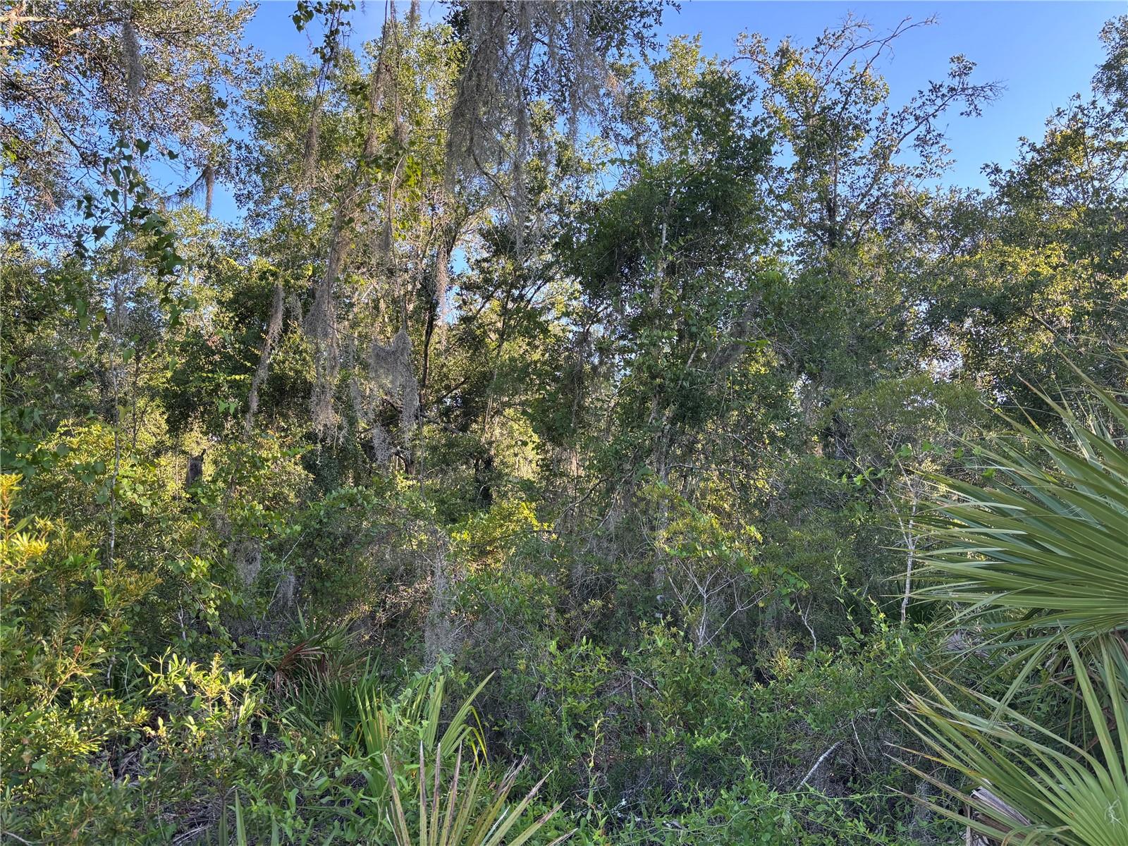 Image 9 of 10 For  Highway 351  
