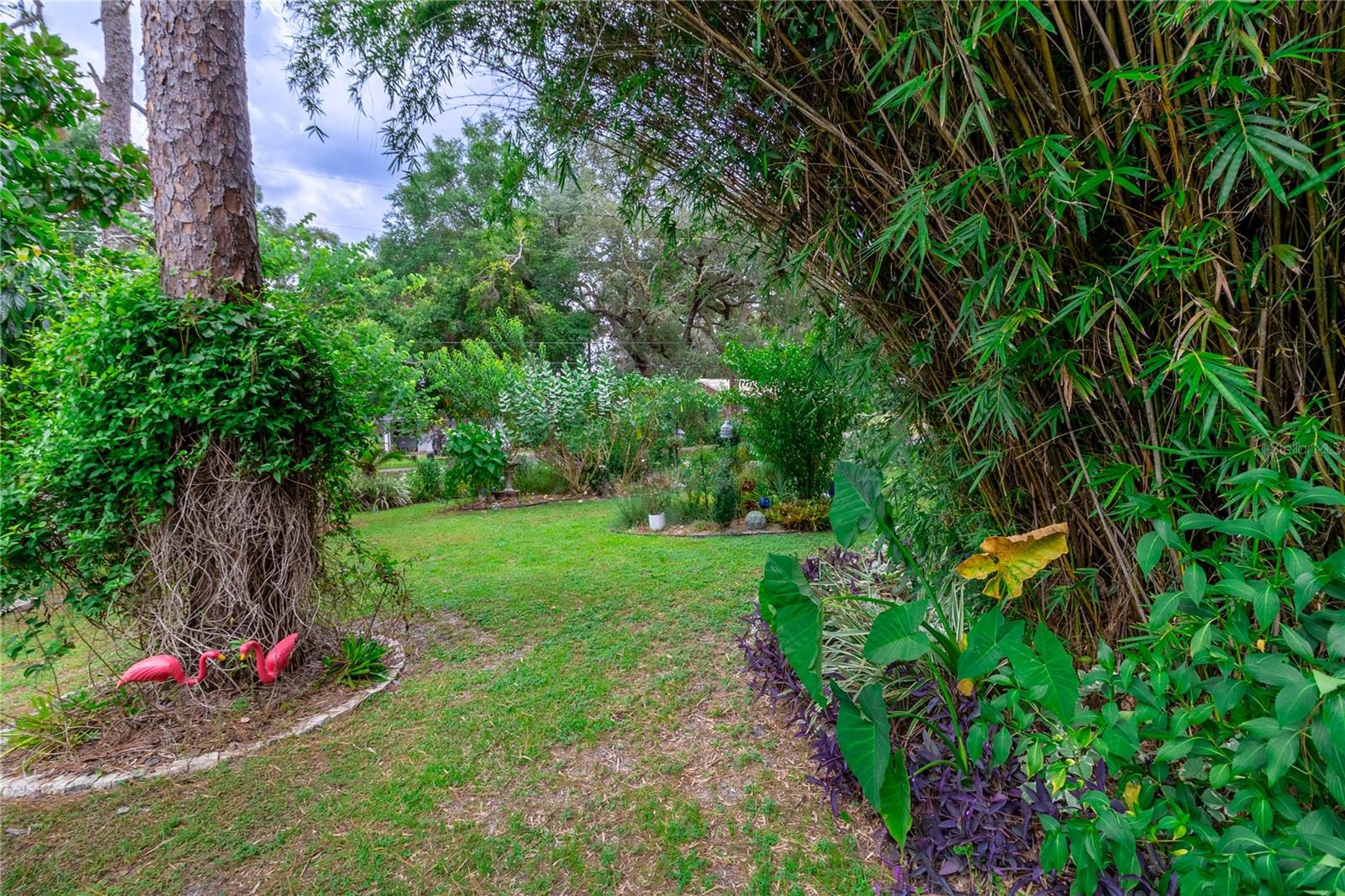 Image 33 of 39 For 560 Live Oak Avenue