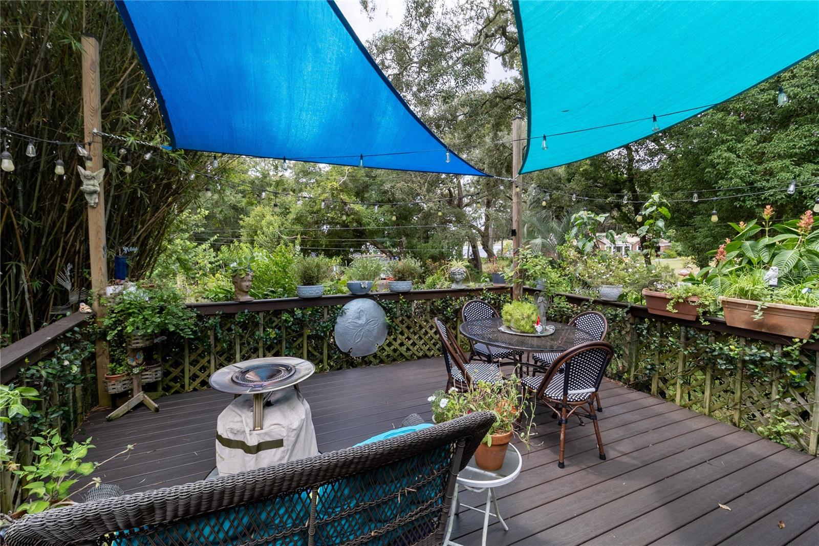 Image 36 of 39 For 560 Live Oak Avenue