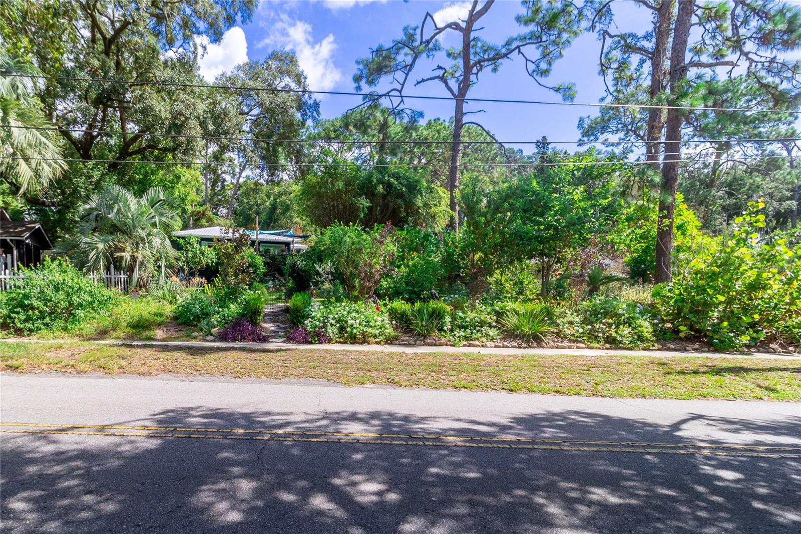 Image 38 of 39 For 560 Live Oak Avenue