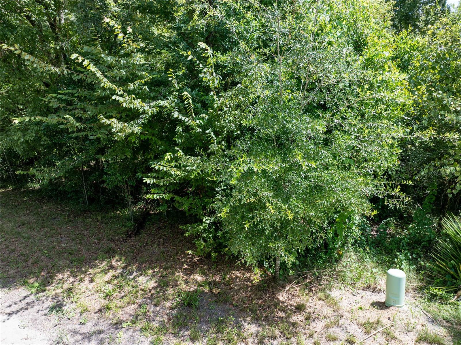 Image 3 of 24 For Tbd Nebraska Terrace