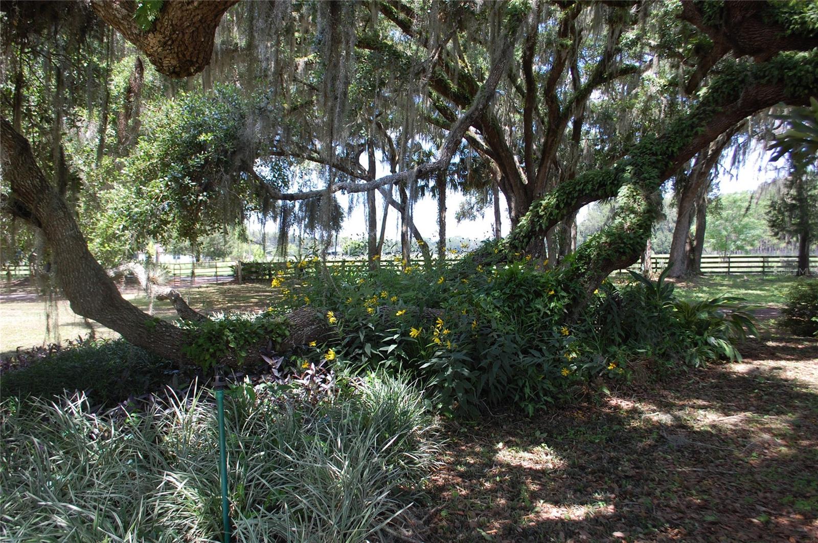 Image 31 of 34 For 18811 243rd Street