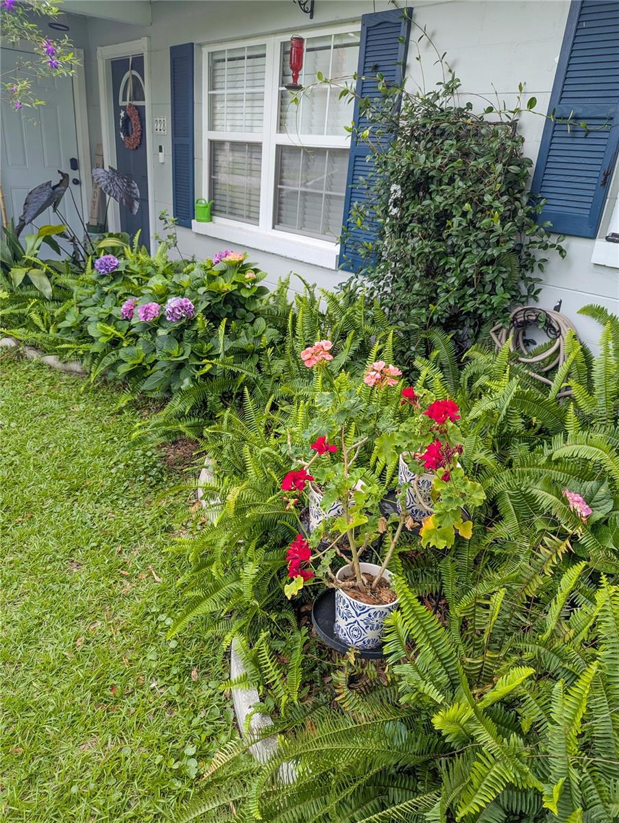 Image 7 of 40 For 228 Oak Hill Street