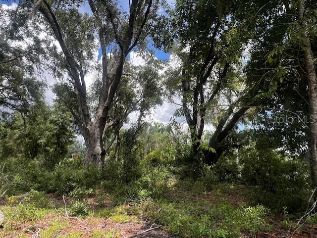 Image 12 of 17 For 3109 Us Highway 129