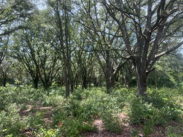 Image 14 of 17 For 3109 Us Highway 129