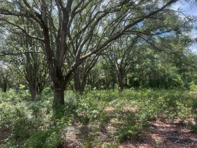 Image 15 of 17 For 3109 Us Highway 129