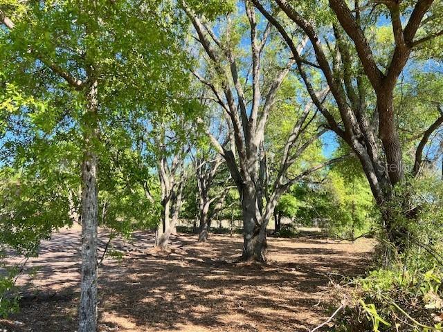 Image 2 of 17 For 3109 Us Highway 129