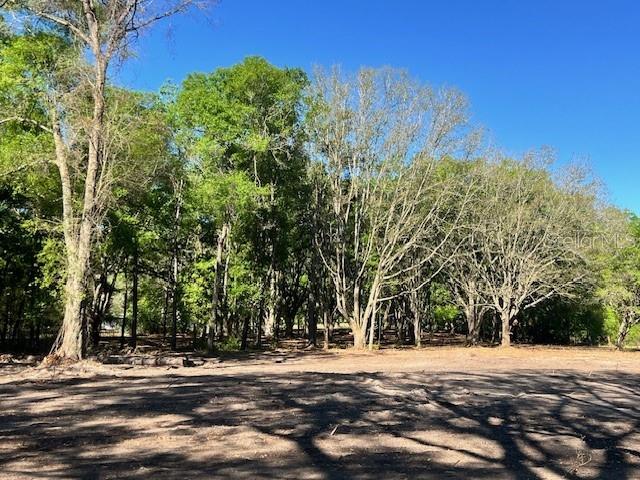 Image 6 of 17 For 3109 Us Highway 129