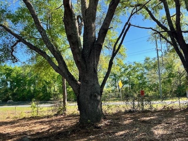 Image 8 of 17 For 3109 Us Highway 129