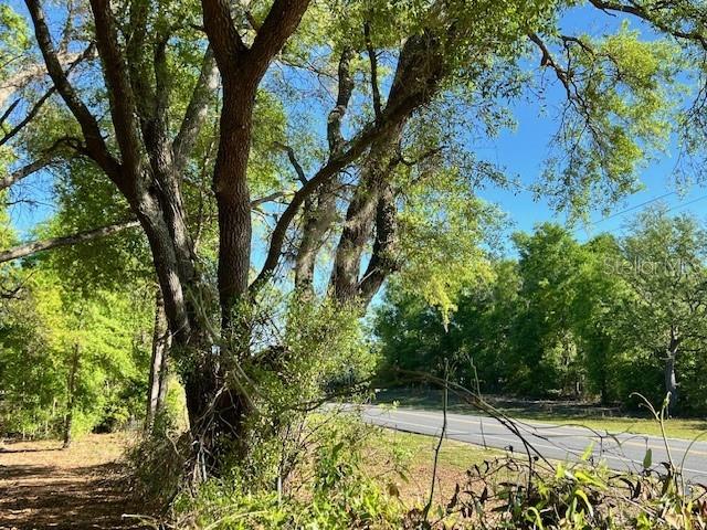 Image 9 of 17 For 3109 Us Highway 129