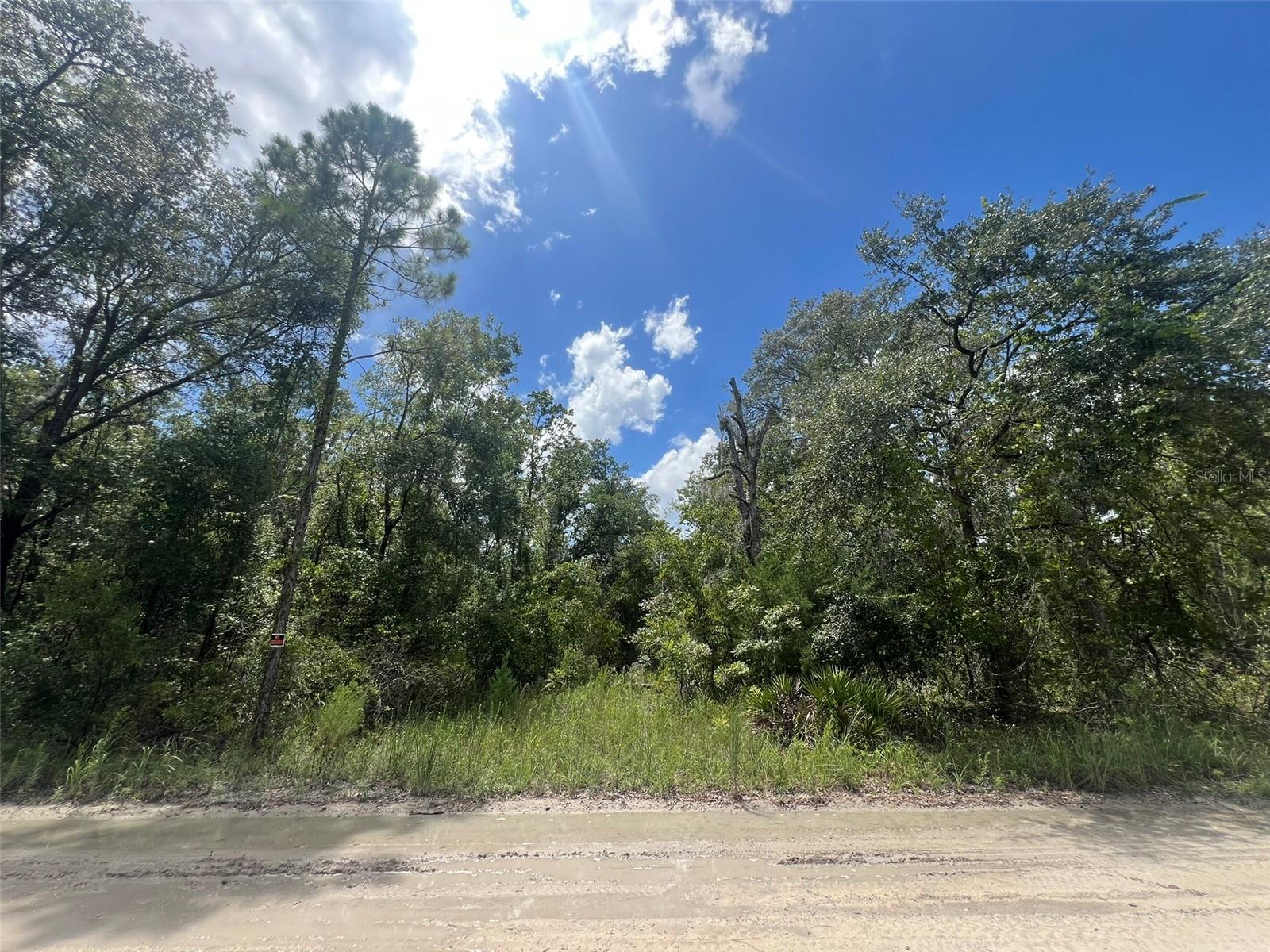Details for Lot 11 11th Avenue, BELL, FL 32619