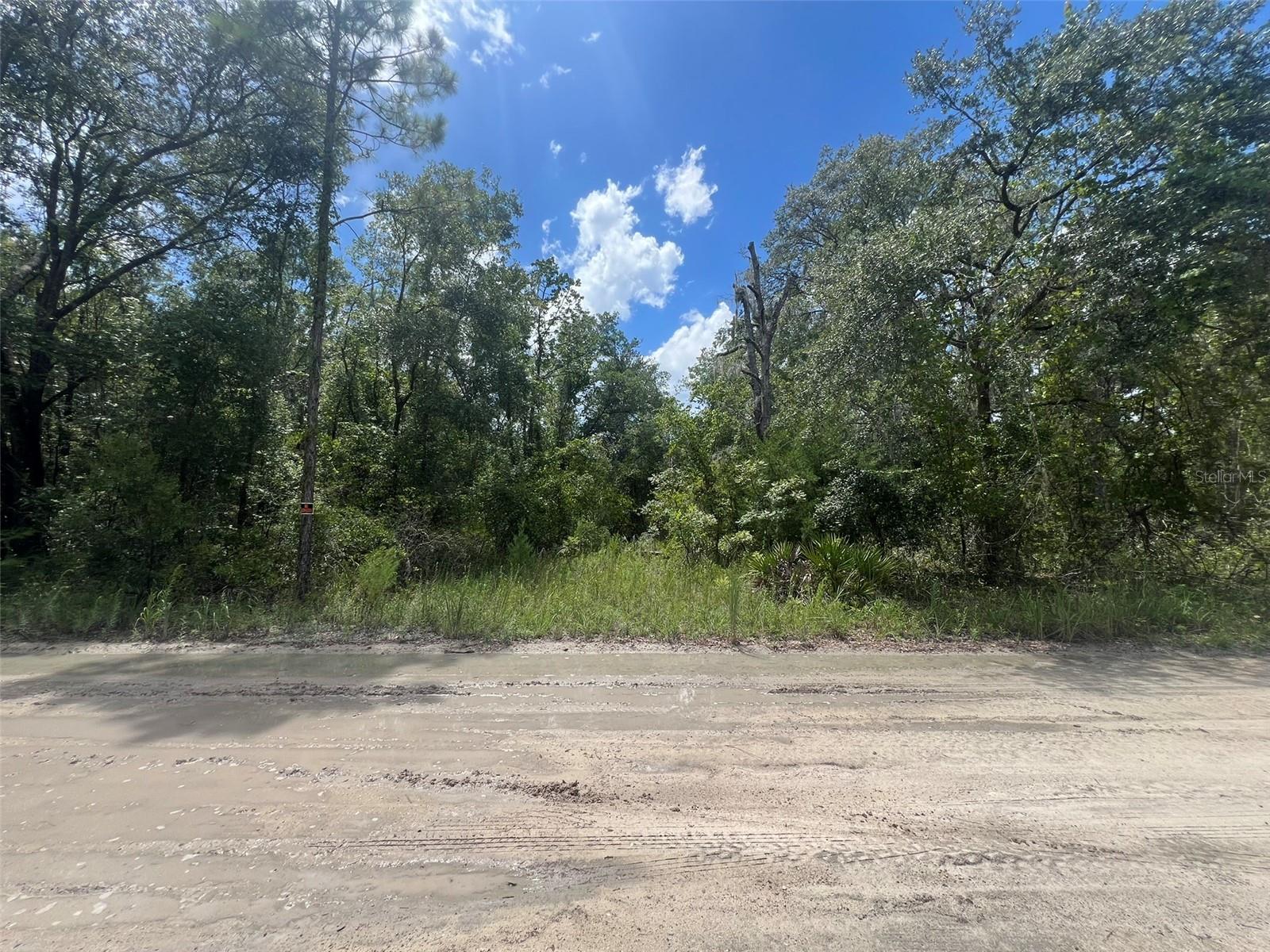 Image 2 of 7 For Lot 11 11th Avenue