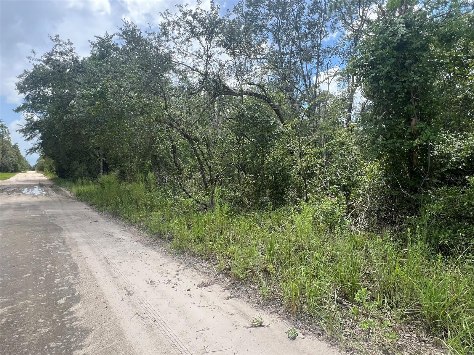 Image 4 of 7 For Lot 11 11th Avenue