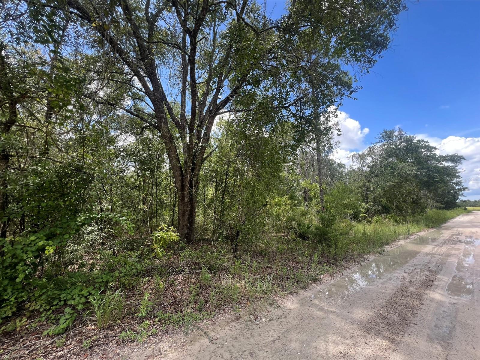 Image 5 of 7 For Lot 11 11th Avenue