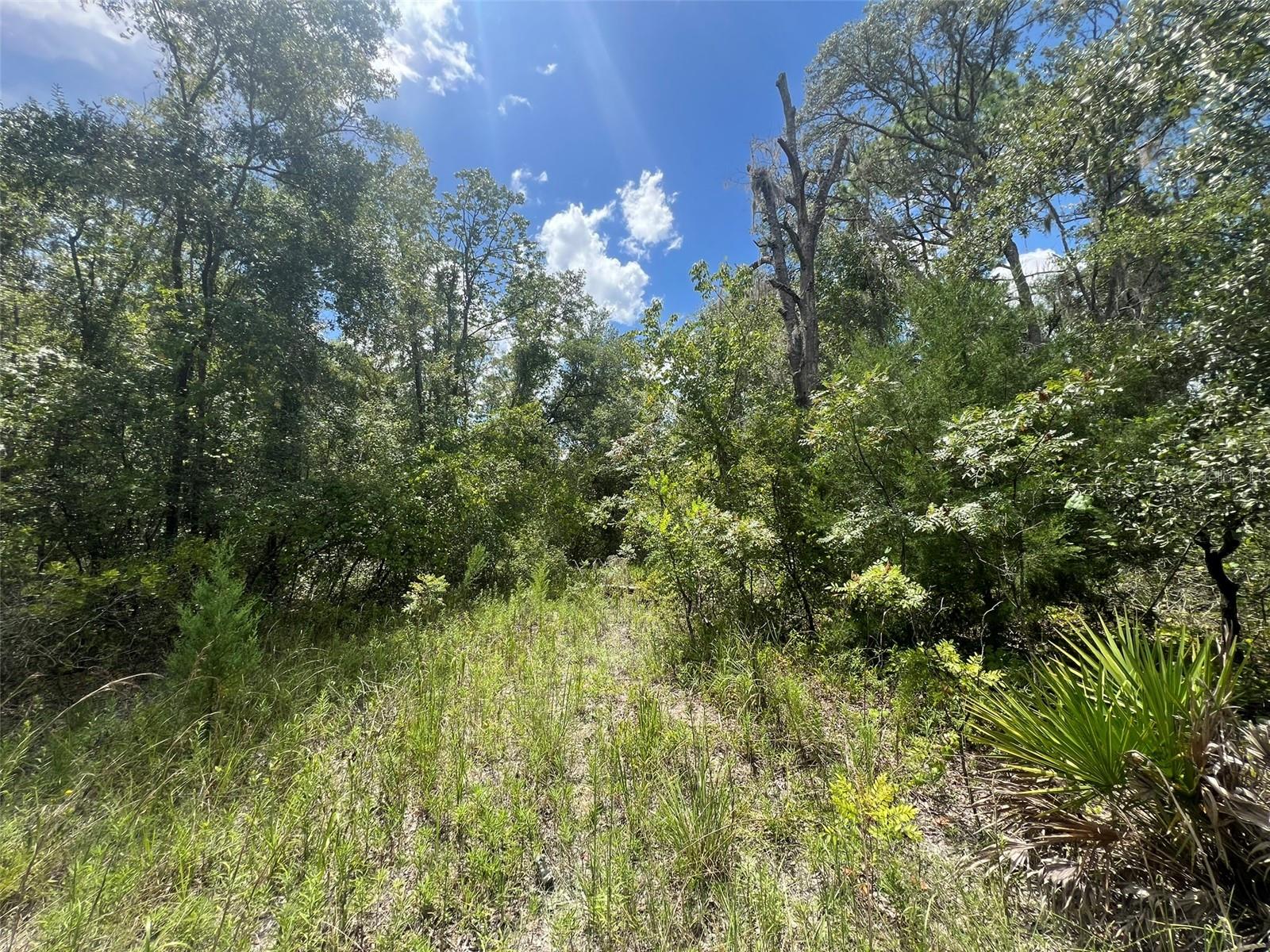 Image 6 of 7 For Lot 11 11th Avenue