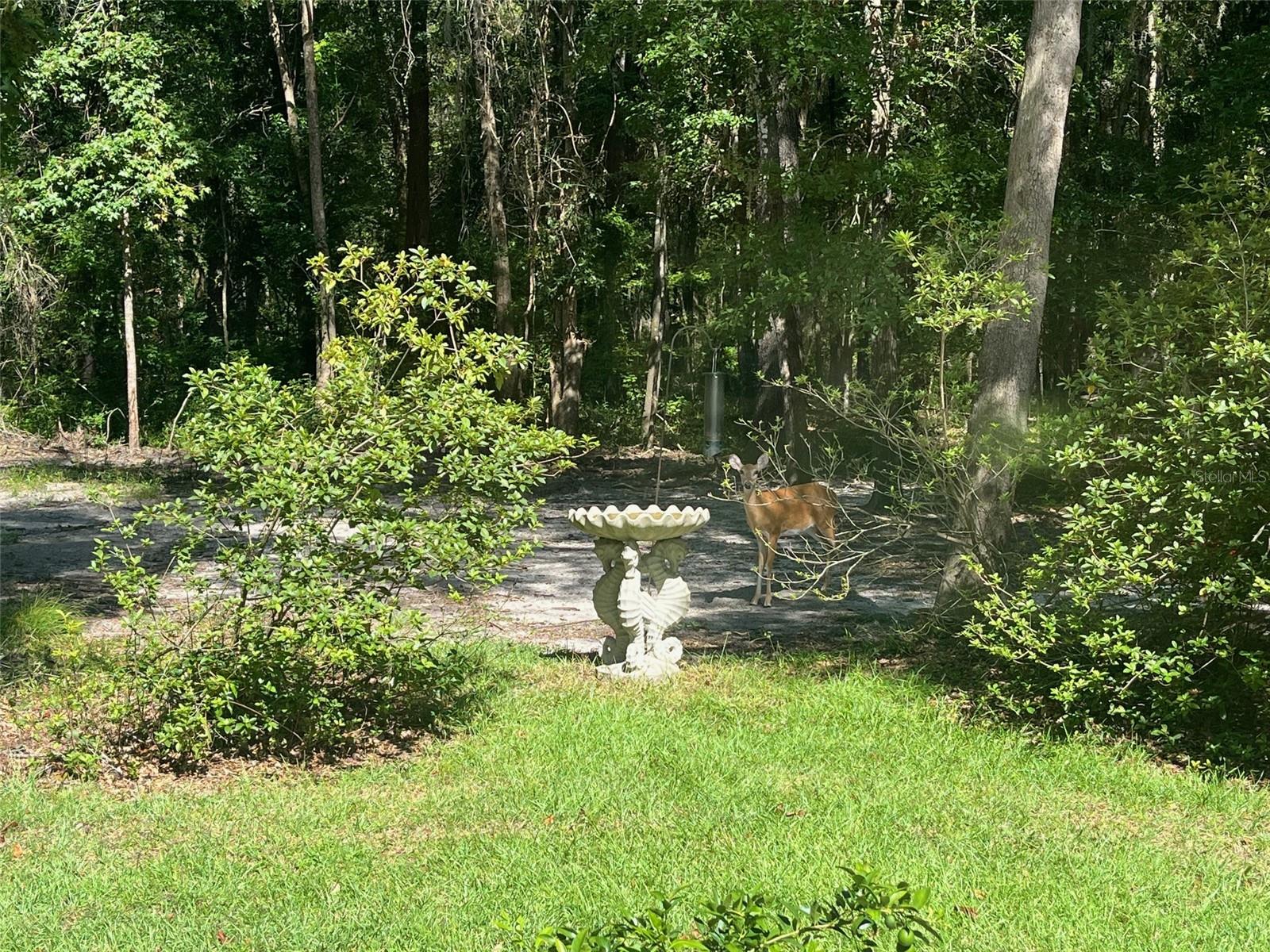 Image 43 of 45 For 23717 194th Drive