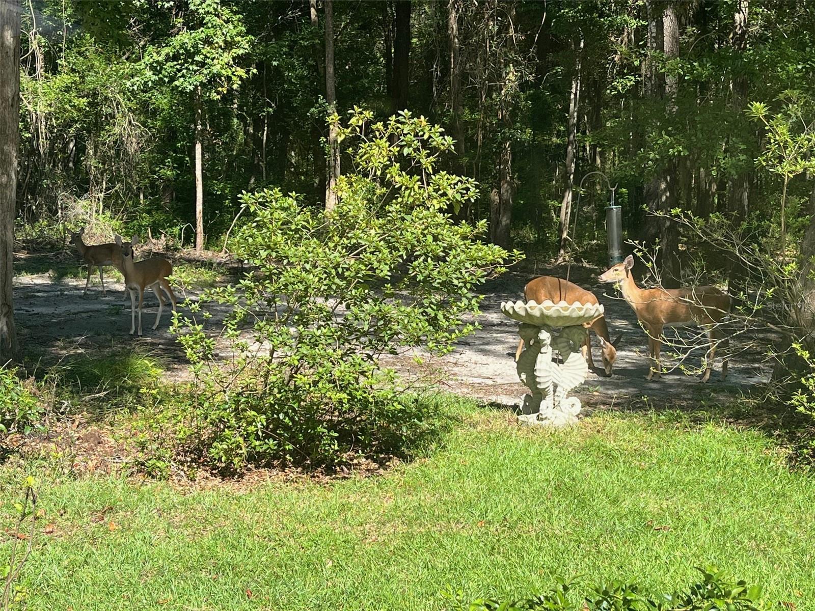 Image 45 of 45 For 23717 194th Drive